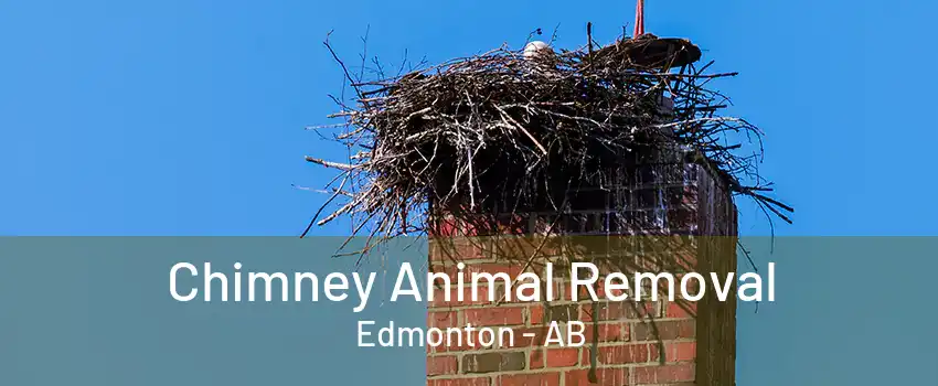 Chimney Animal Removal Edmonton - AB