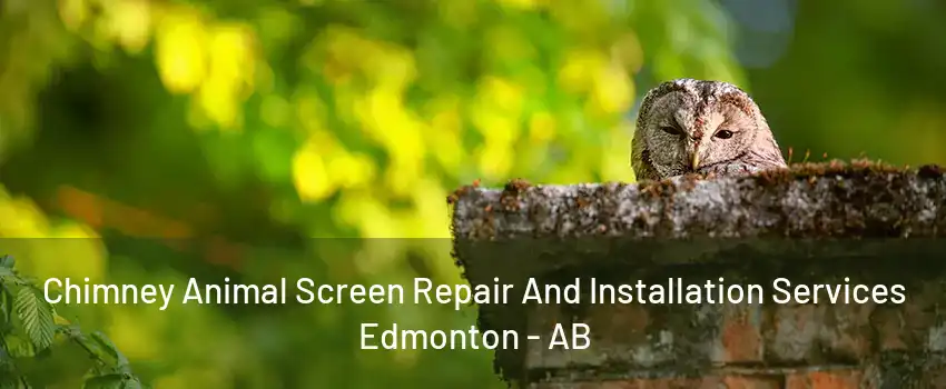 Chimney Animal Screen Repair And Installation Services Edmonton - AB