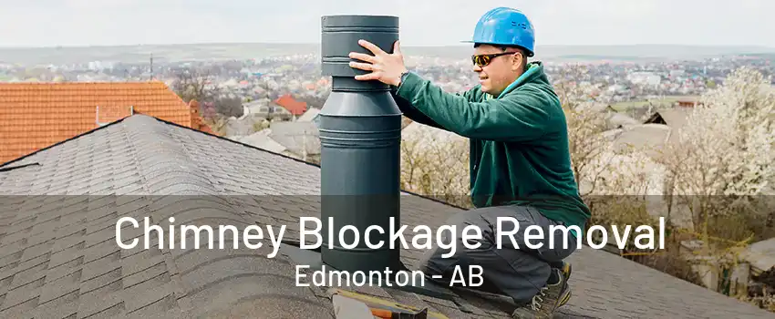 Chimney Blockage Removal Edmonton - AB