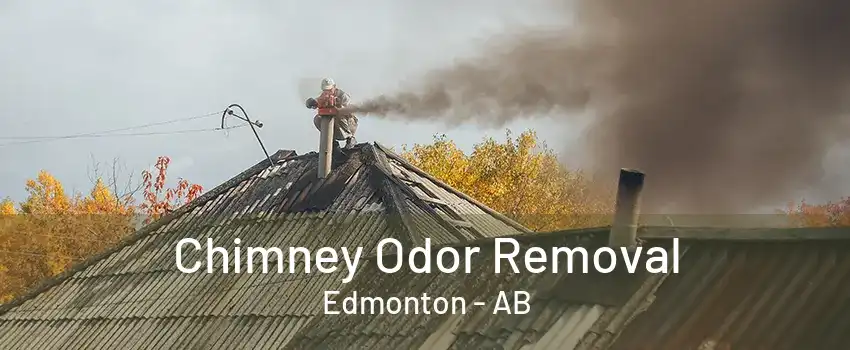 Chimney Odor Removal Edmonton - AB