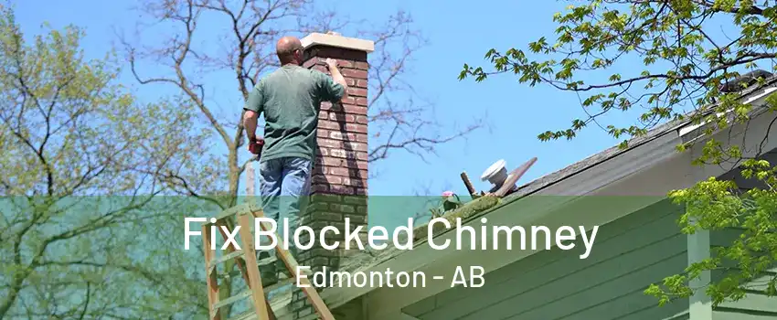 Fix Blocked Chimney Edmonton - AB