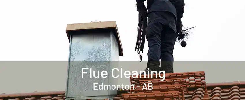 Flue Cleaning Edmonton - AB