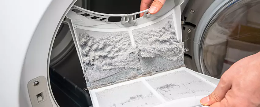 Best Dryer Lint Removal Company in Edmonton, Alberta