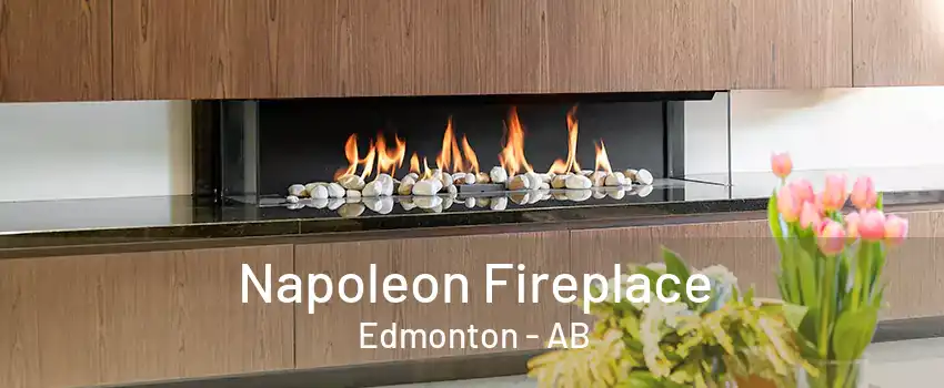 Napoleon Fireplace Edmonton - AB